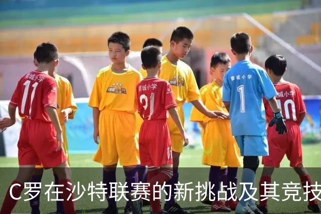 C罗在沙特联赛的新挑战及其竞技价值分析